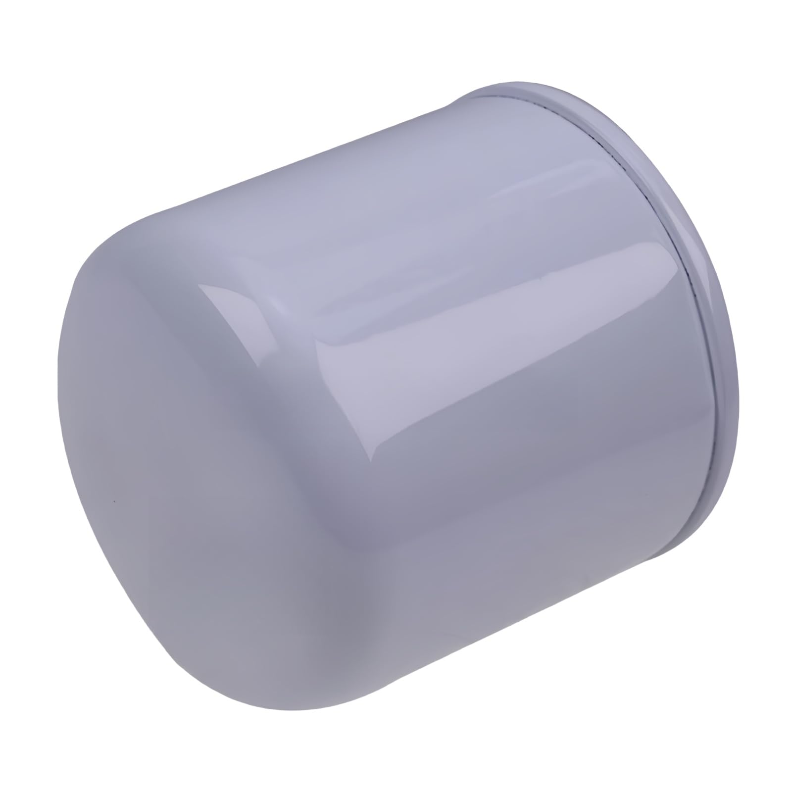 4121609 Fuel Filter Fits for Bobcat Skid Steer Loader 313 533 543 600 611 631 721 731