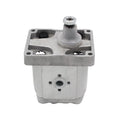 C42XP4MS 5129493 5179726 Hydraulic Pump Gear Pump Fits for Fiat Tractor Replace parts