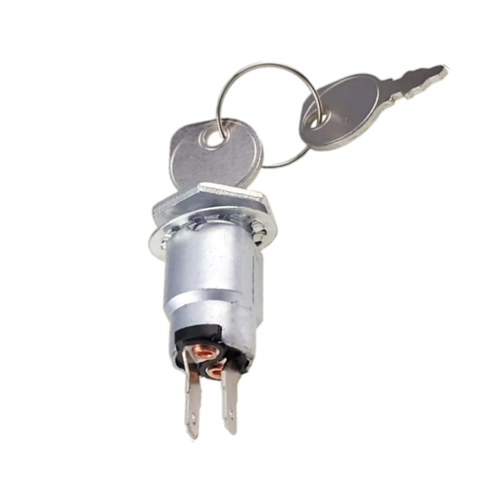2PCS Ignition Switch with 2 Keys 430-029 Fits for Ariens 02456500 52406900 ST824 ST1032 ST1236 ST1028 Fits for Exmark 403121 Replace parts