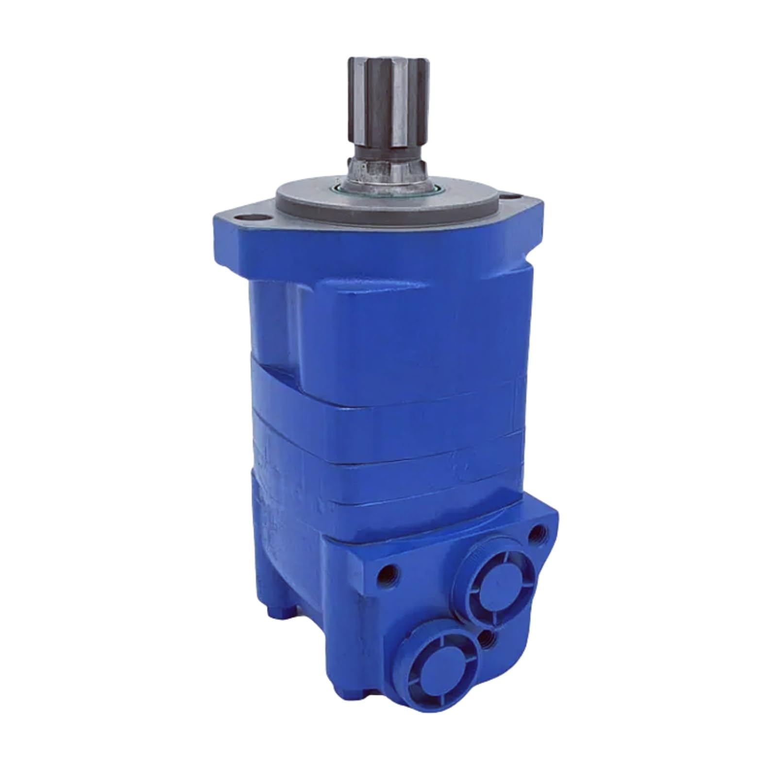Hydraulic Motor BM5 BM5-100/125/160/200/250/315/400  Fits for BM5 Series(2-Holes)