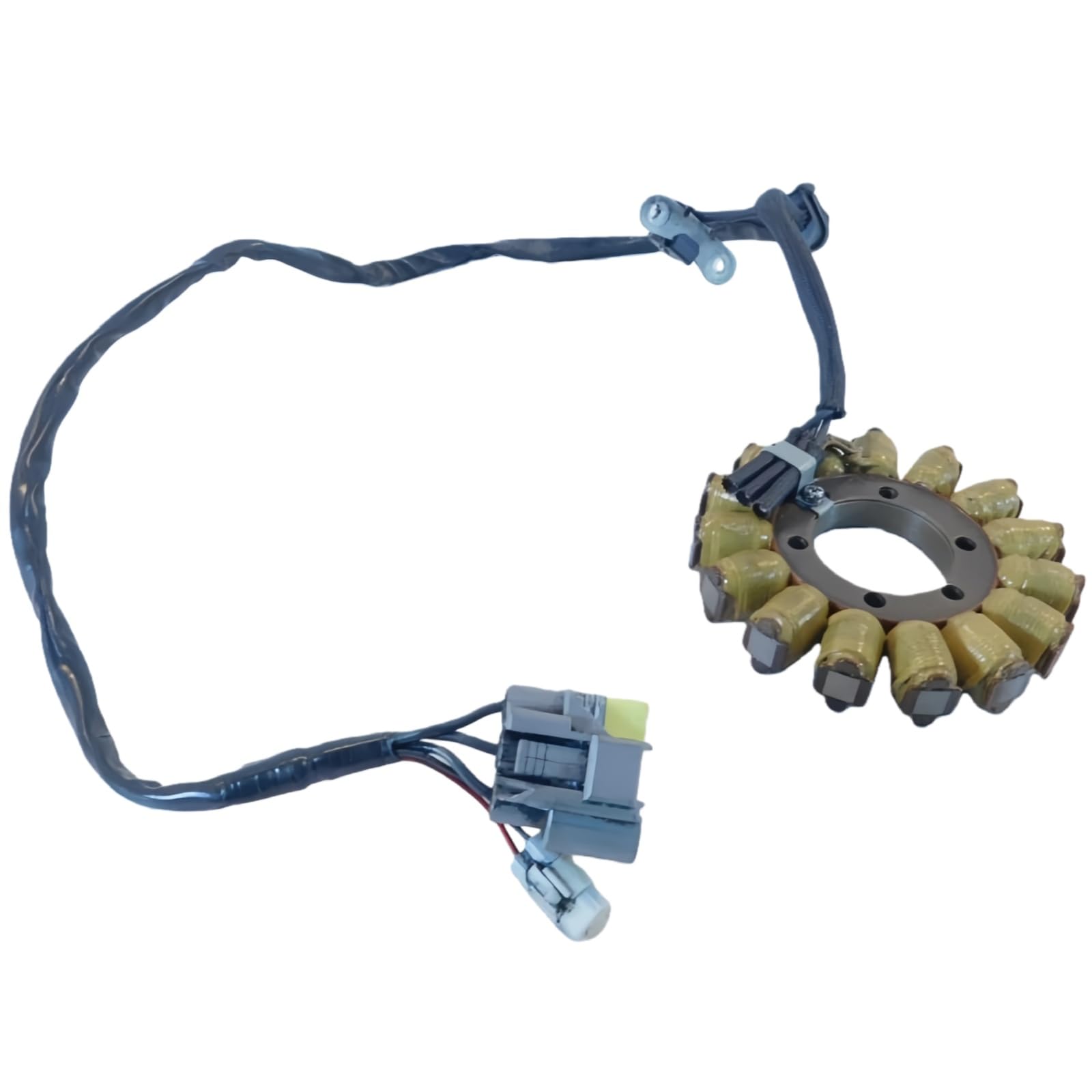 29900064 29900006 Stator Coil Fits for Harley 500 XG500 for Street 750 XG750 2015-2020