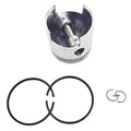350-00001 Piston Kit Ring Set Fits for Yamaha T18 18HP 2-Stroke