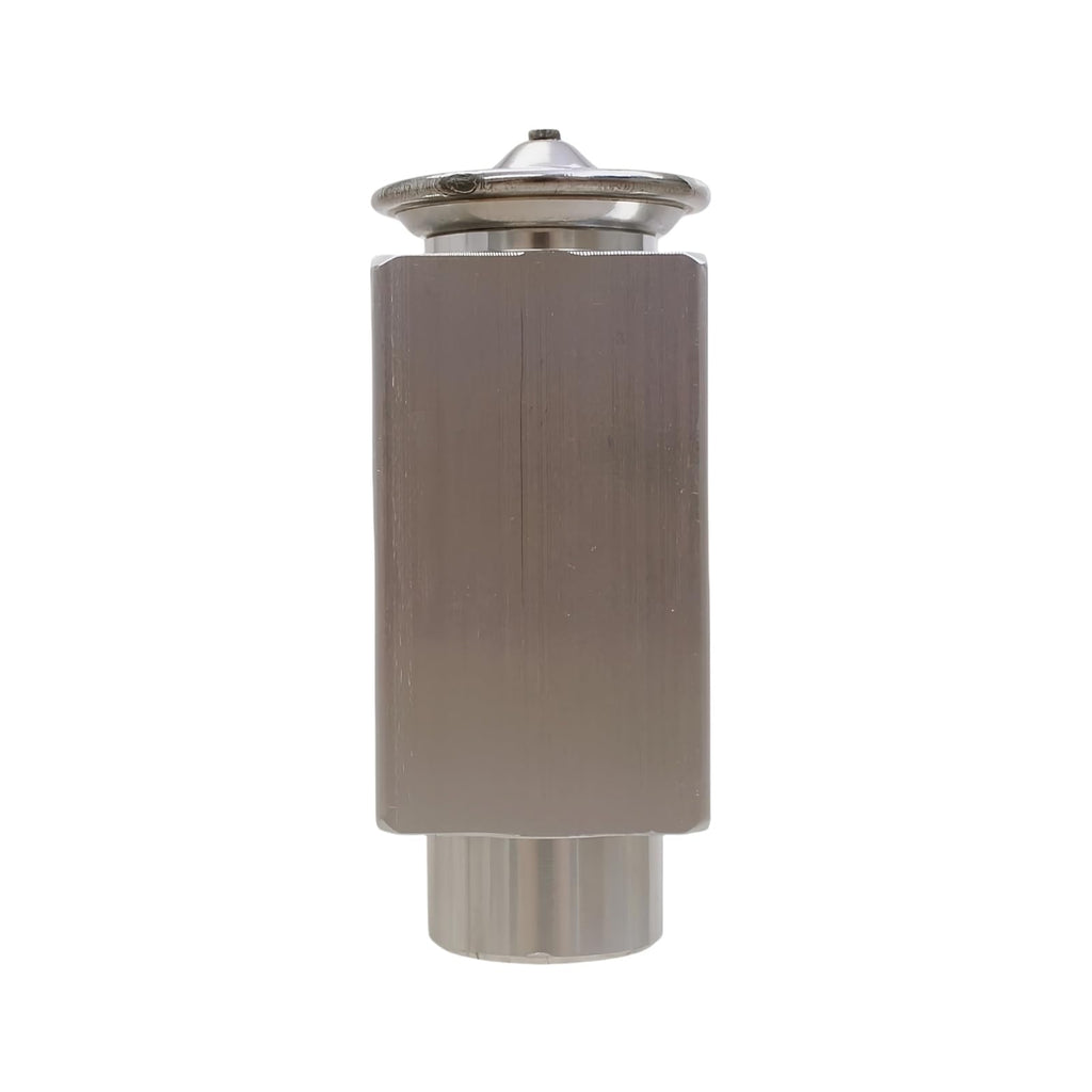 82034858 Expansion Valve Fits for New Holland Tractor TD5010 TD5020 TD75D TD90D TM120 TM130 TM155 TS100 TS110 TS115