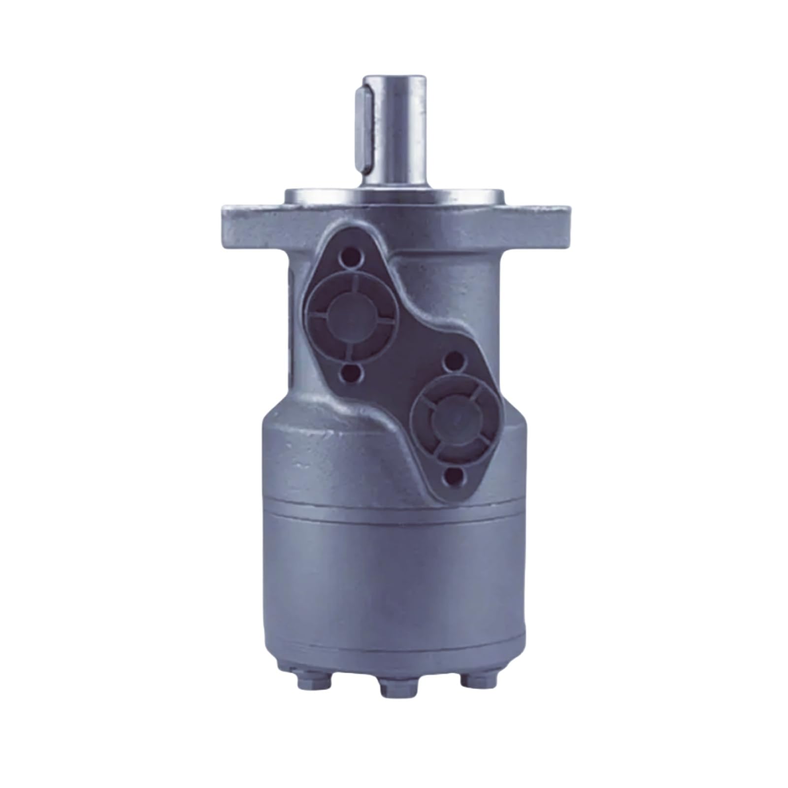 Hydraulic Motor  BM1 50/80/100/125/160/200/250/315/400/500 Fits for BM1 Series (2-Holes)