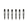 6pcs 0445120064 0986435529 4902255 4902825 Common Rail Fuel Injector fits for Deutz Renault Truck Crin2