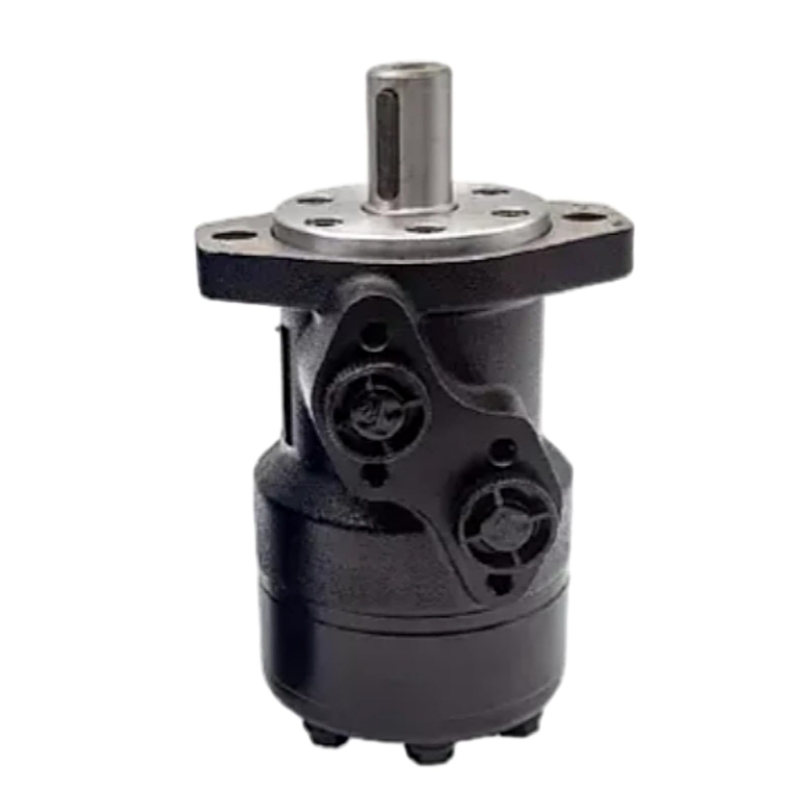 Hydraulic Motor  BM1 50/80/100/125/160/200/250/315/400/500 Fits for BM1 Series (2-Holes)