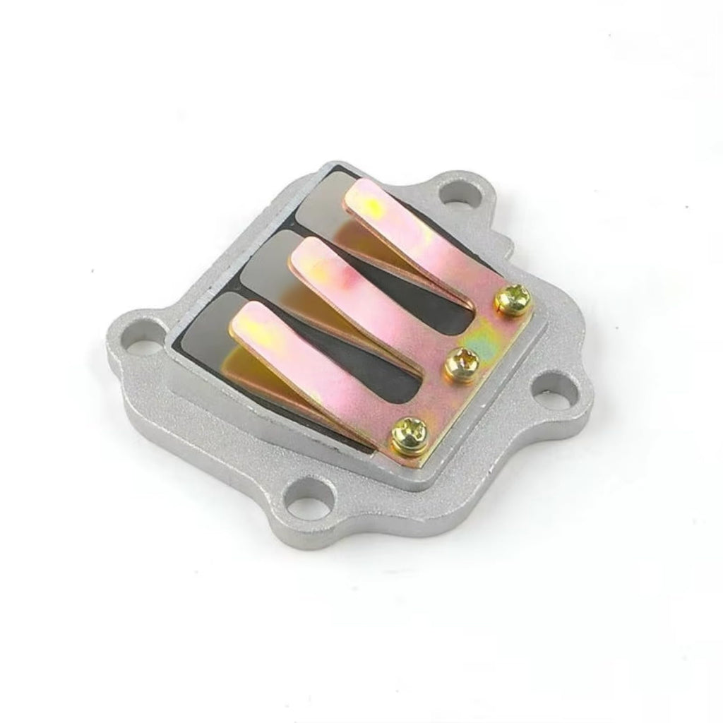 Sgaorcpas 2PCS REED VALVE ASSY 300-13610-04-00 Fits for Yamaha  PW80 1995-2006