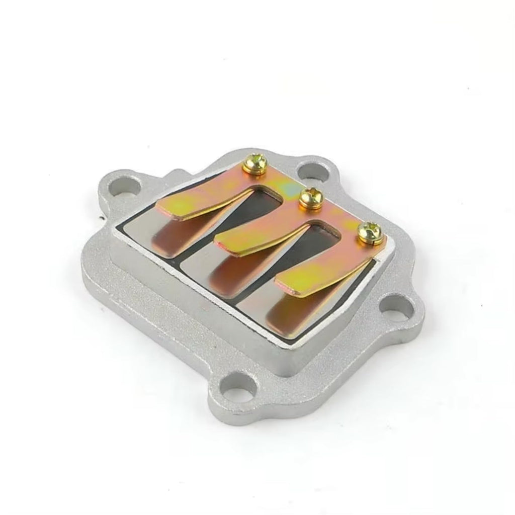 Sgaorcpas 2PCS REED VALVE ASSY 300-13610-04-00 Fits for Yamaha  PW80 1995-2006