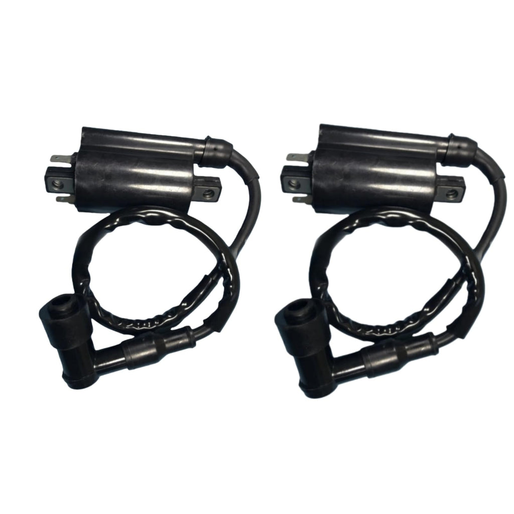 Sgaorcpas 2PCS Ignition Coil with Wire 5.3.01.0240 Fits for Buyany for Feishen 300cc