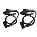 Sgaorcpas 2PCS Ignition Coil with Wire 5.3.01.0240 Fits for Buyany for Feishen 300cc