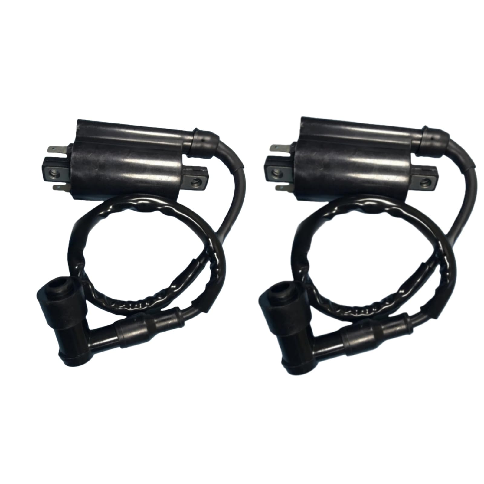 Sgaorcpas 2PCS Ignition Coil with Wire 5.3.01.0240 Fits for Buyany for Feishen 300cc