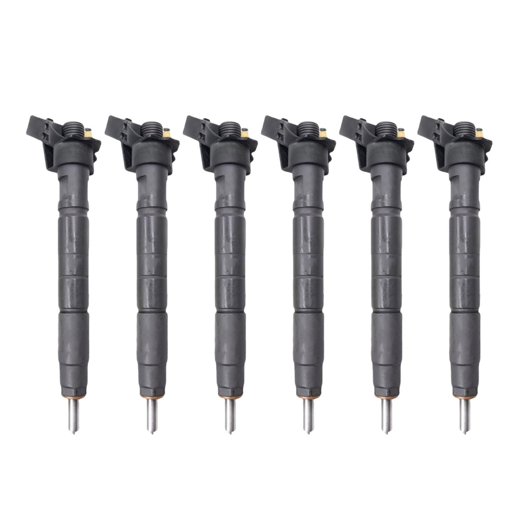 6PCS Fuel Injector 0445116049 0445-116-049 Fits for Hyundai for Veracruz Ix55 Fits for KIA for Borrego 3.0 Replace parts