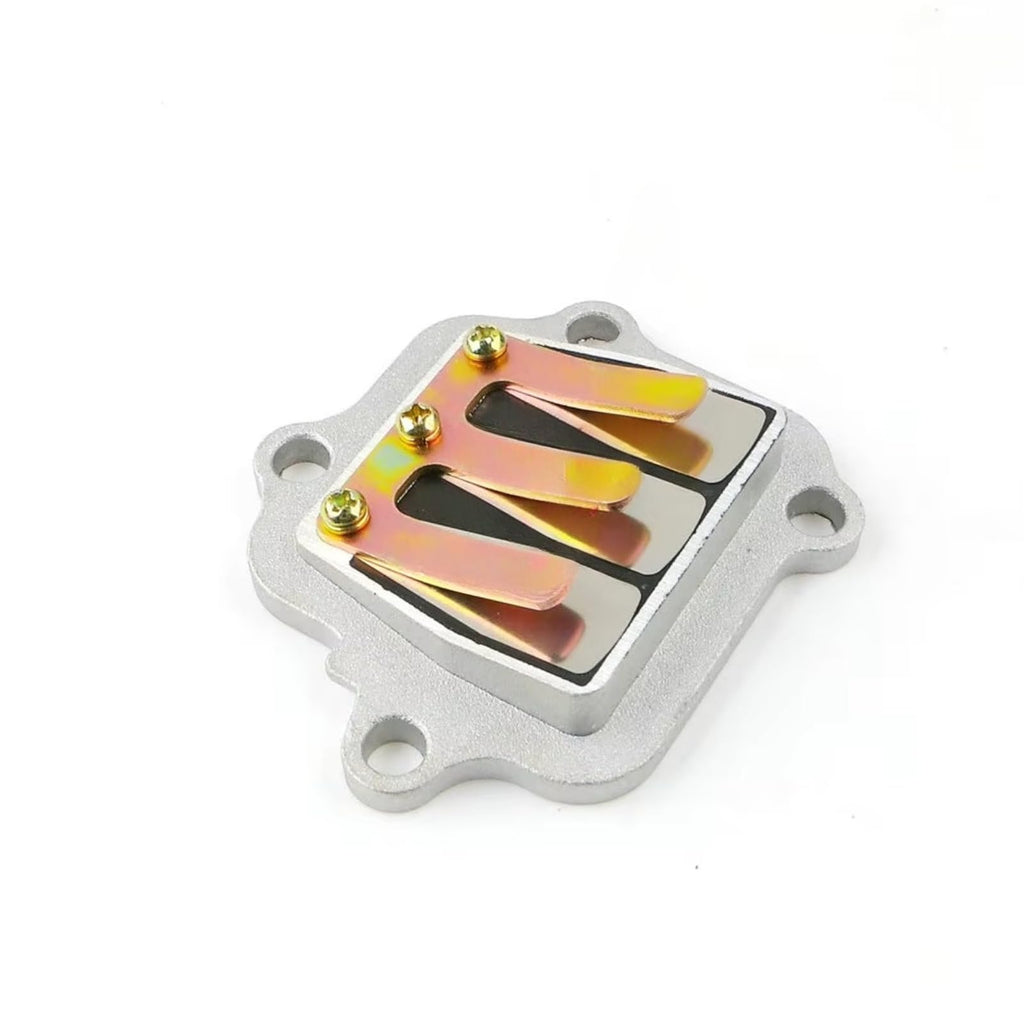 Sgaorcpas 2PCS REED VALVE ASSY 300-13610-04-00 Fits for Yamaha  PW80 1995-2006
