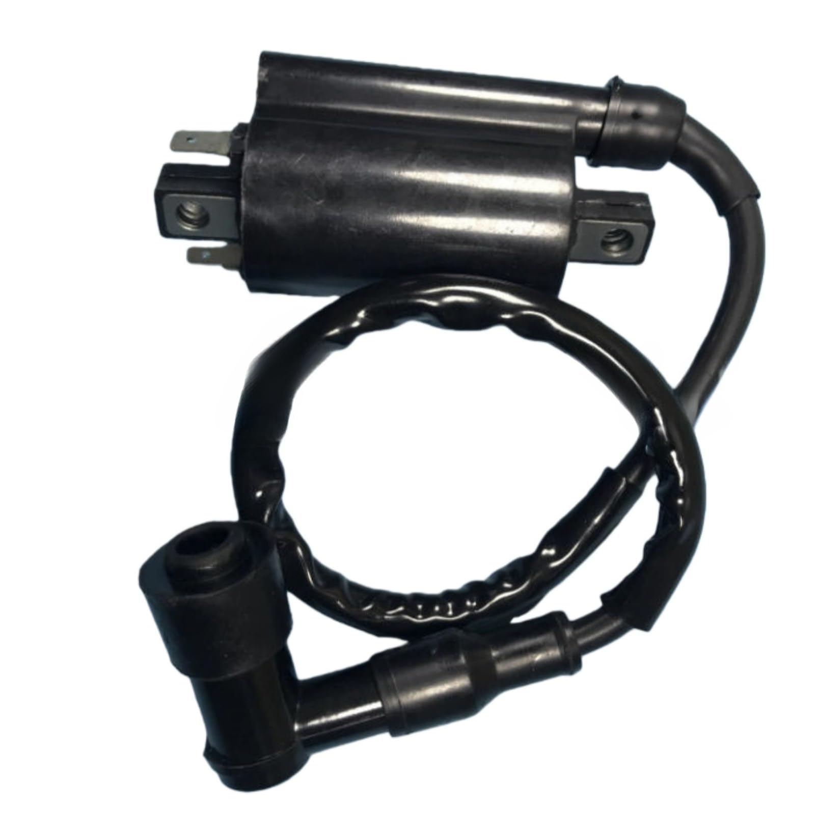 Ignition Coil with Wire 5.3.01.0240 Fits for Buyany for Feishen 300cc