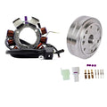 Kit Stator + Flywheel  32101-38F01 32102-38F00 3430054 3430071 Fits for Arctic Cat 400 4X4