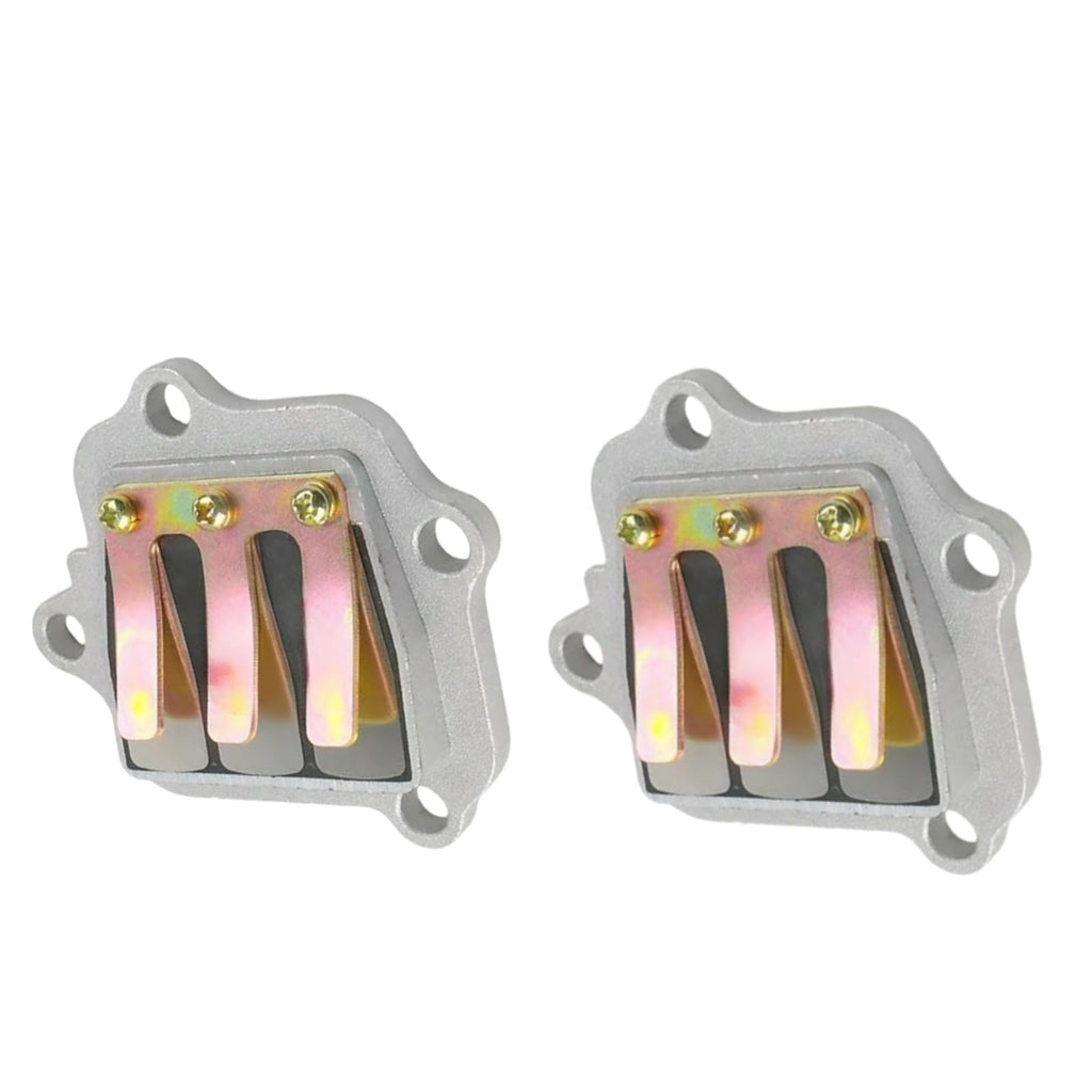 Sgaorcpas 2PCS REED VALVE ASSY 300-13610-04-00 Fits for Yamaha  PW80 1995-2006