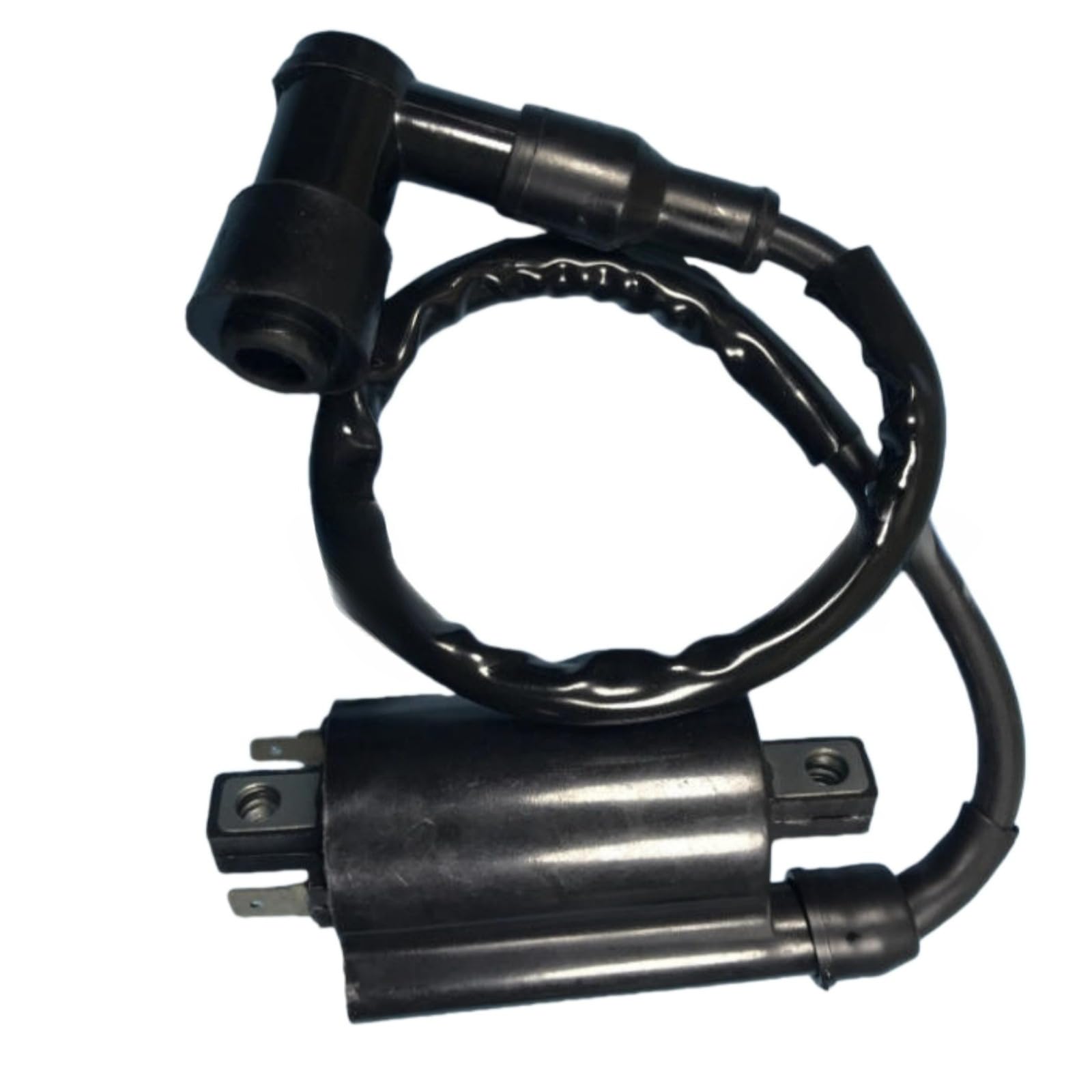 Ignition Coil with Wire 5.3.01.0240 Fits for Buyany for Feishen 300cc