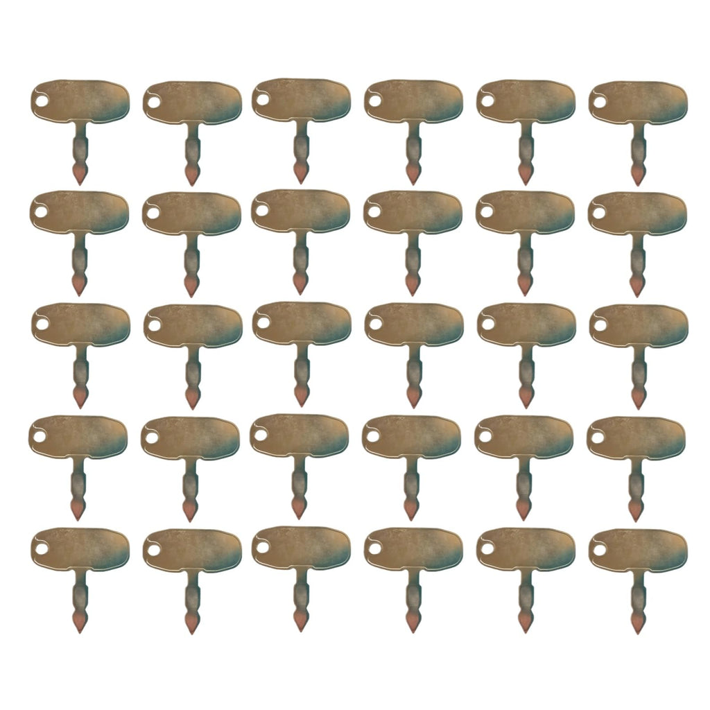 30PCS 1569 Ignition Key Fits for Ford for New Holland Tractors