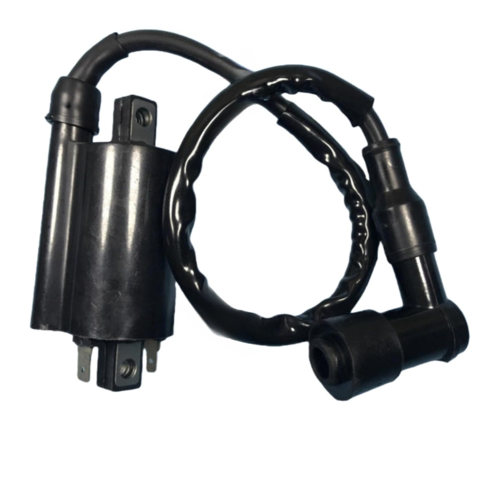 Ignition Coil with Wire 5.3.01.0240 Fits for Buyany for Feishen 300cc