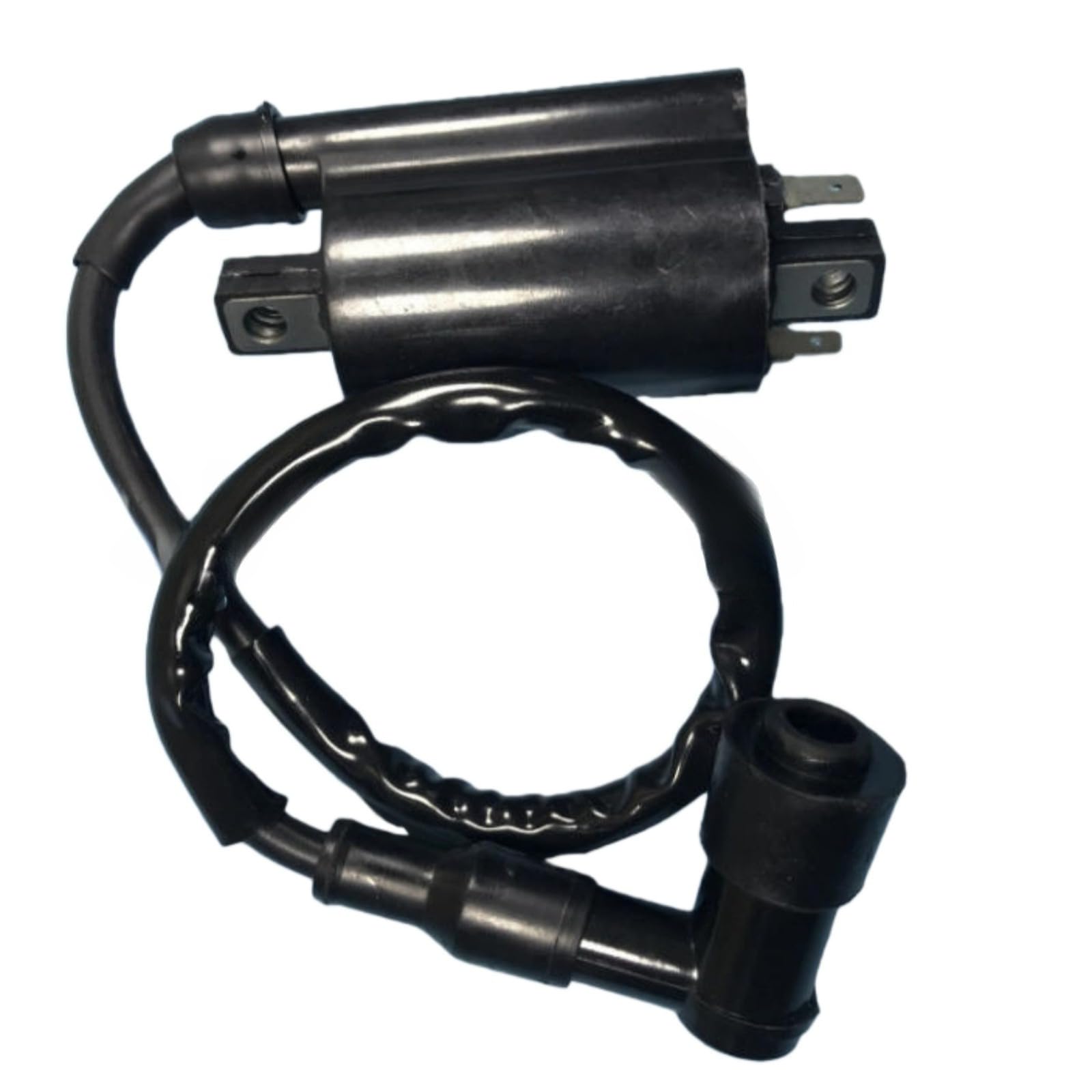 Ignition Coil with Wire 5.3.01.0240 Fits for Buyany for Feishen 300cc