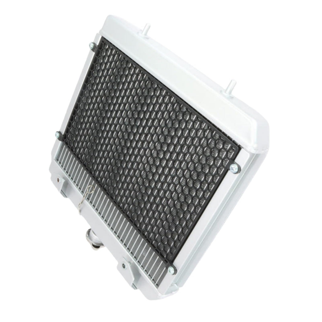 Radiator with Cooling Fan Motor 181000-6002 Fits for CF Moto NEW600 625 ATV Cforce X6 600S 600 EPS Models