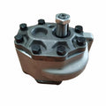 Hydraulic Gear Pump 308873A1 93835C92GV 66513C91 406827R91 Compatible for Case C50 C60 C70 C80 C90 C100 CX50 CX60 CX70 CX80 CX90 CX100 395 495 595 685 695 884 895 995 3220 3230 4210