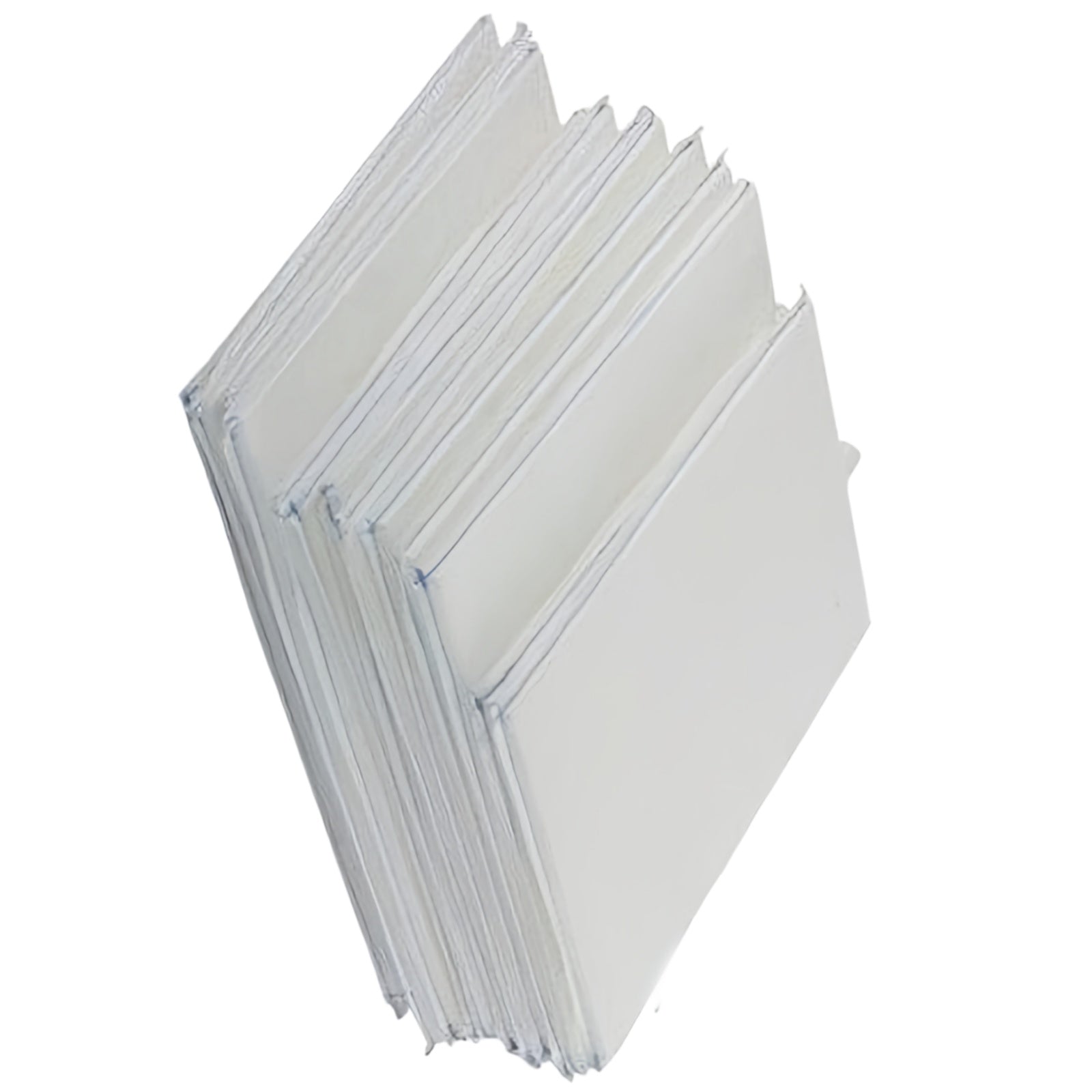 FS-3053 Swimming Pool Filters Fits for Sta-Rite